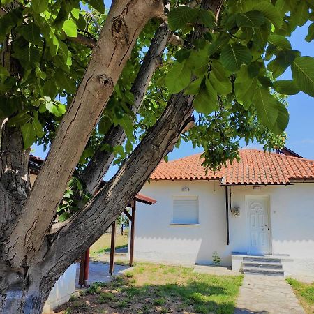 马克罗吉亚罗斯White Clam Vintage House With Sea View & Garden别墅 外观 照片