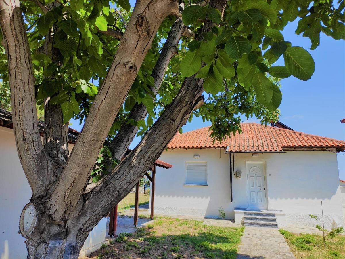 马克罗吉亚罗斯White Clam Vintage House With Sea View & Garden别墅 外观 照片