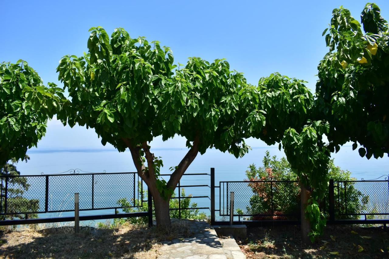 马克罗吉亚罗斯White Clam Vintage House With Sea View & Garden别墅 外观 照片